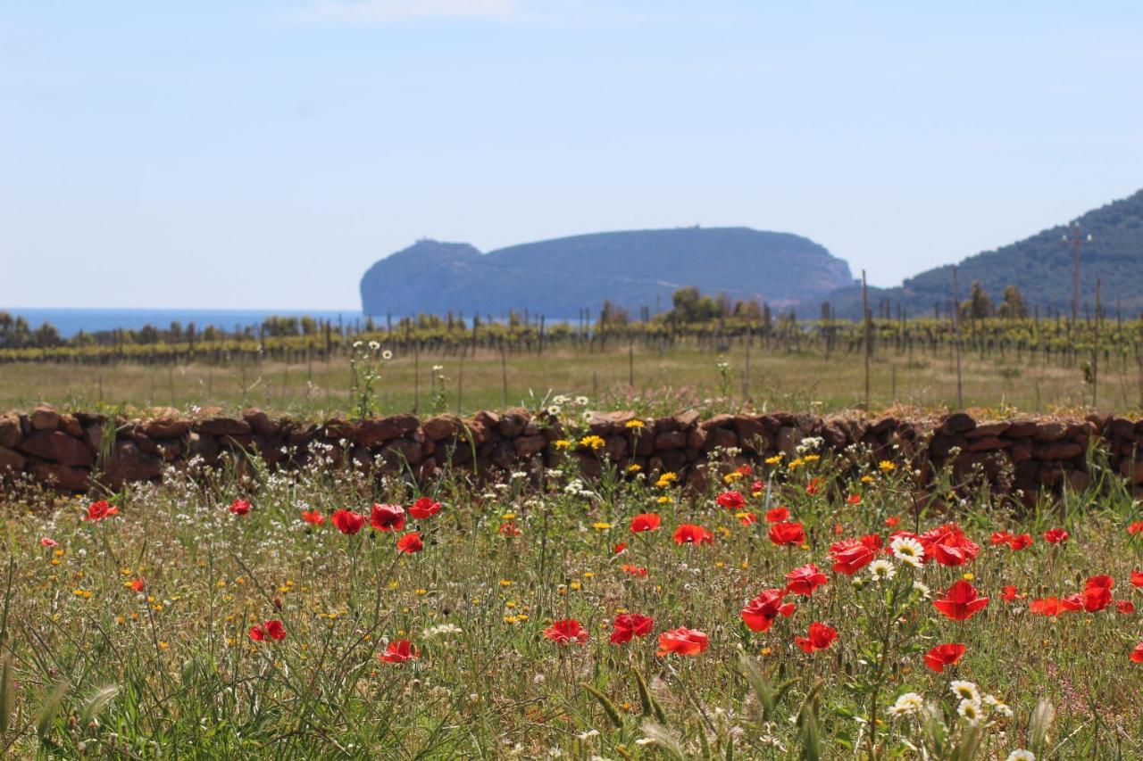 Agriturismo Graziano E Barbara Порто-Конте Экстерьер фото